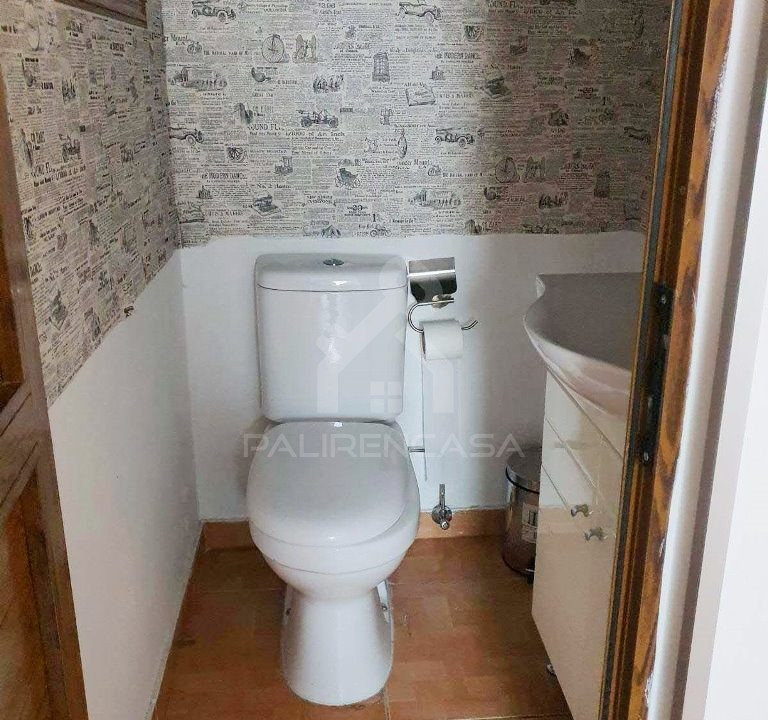 Basement guest wc